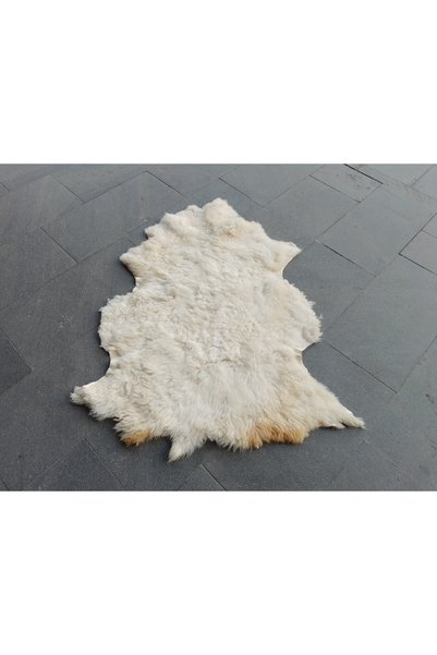 ŞAHMERDANOĞLU 90x115 Cm %100 Doğal Koyun Postu, Yumuşacık Kuzu Derisi, Hakiki...