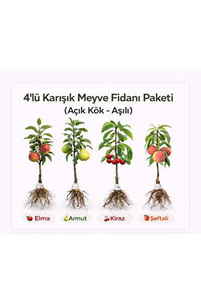 Floryalibotanik 4’lü Karışık Meyve Fidanı Paketi (Elma + Armut + Kiraz + Şeft...