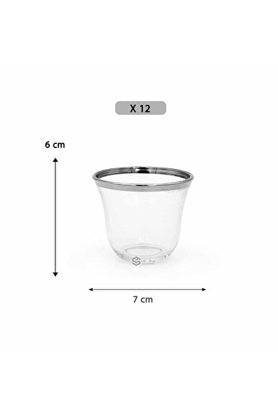 SQF Silver-lined teacup set