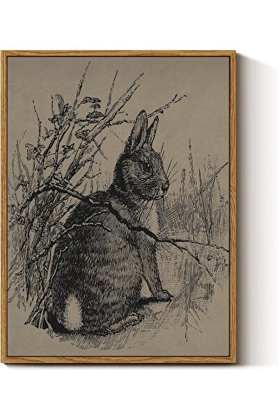 ALAYRA International لوحة جدارية قماشية جميلة بدون إطار، مقاس 30×40 سم، ديكور...