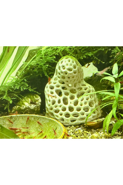 LİYA3D Akvaryum Karides Saklanma Alanı – 3D Baskı Dekor Mağara / Gizlenme Yuv...