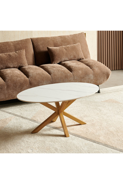 Home Box Welwick Oval Sintered stone Top Coffee Table- Glossy White & Natural...