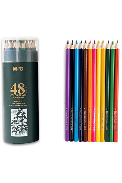 M&G Creioane colorate hexagonale, ulei pastel, cutie cilindrica din carton pr...