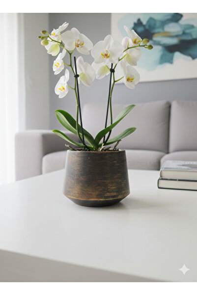 Alba Home Decor Dekoratif modern saksı