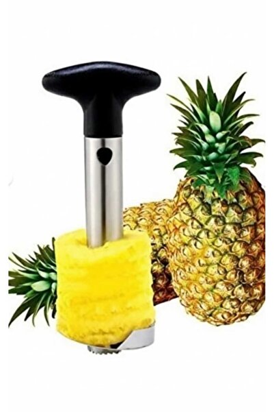 Home PASLANMAZ ÇELİK ANANAS SOYUCU DİLİMLEYİCİ