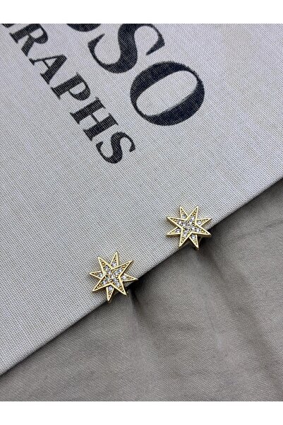 Hedef Bijuteri Gold Color Zircon Stone Cousin Star Model Earrings Cm123