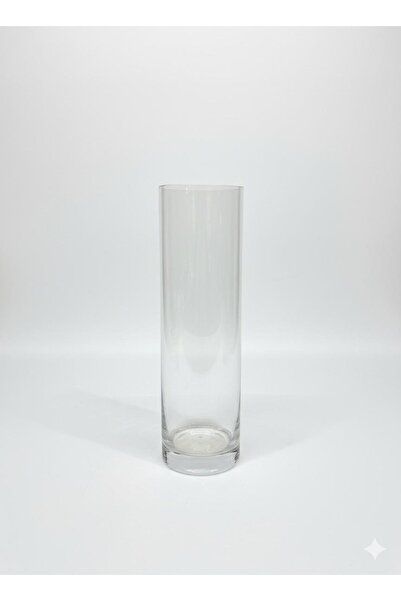 GFSMORE مزهرية أسطوانية شفافة طويلة 35×10 سم