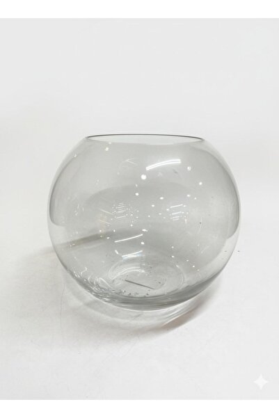 GFSMORE مزهرية كروية زجاجية شفافة (21×24 سم)