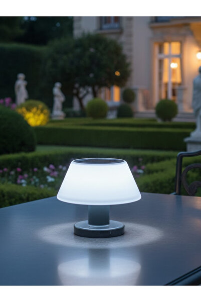 ACK Solar LED Bahçe Armatürü