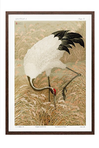 Postifull Vintage slika, poster u smeđoj ramovani, vintage zidni dekor