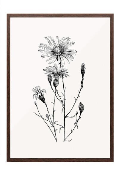 Postifull Vintage ζωγραφική, αφίσα με καφέ κορνίζα, vintage διακόσμηση τοίχου