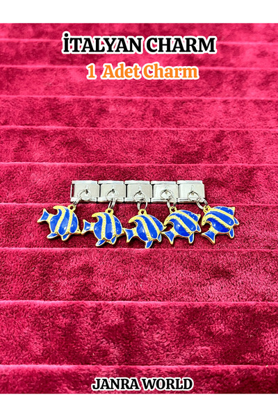 JANRA WORLD سوار تشارم إيطالي، زخرفة سوار تشارم، سوار تشارم إيطالي متوافق مع ...