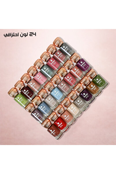 Deina A professional nail polish set containing 24 rich and varied colors, gi...