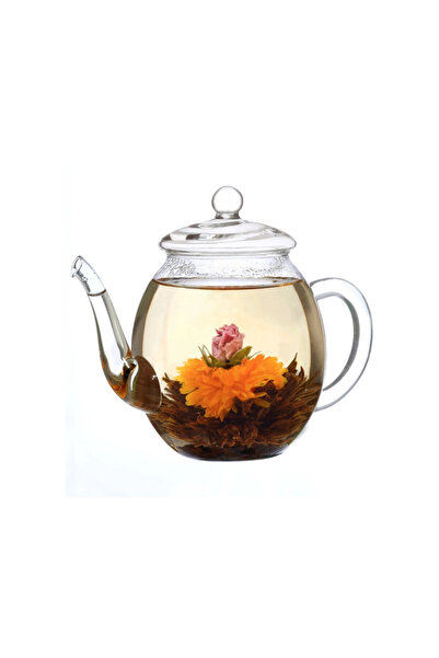 Creano ceainic de sticlă cu capac, 500 ml, rezistent la căldură, fără scurgeri