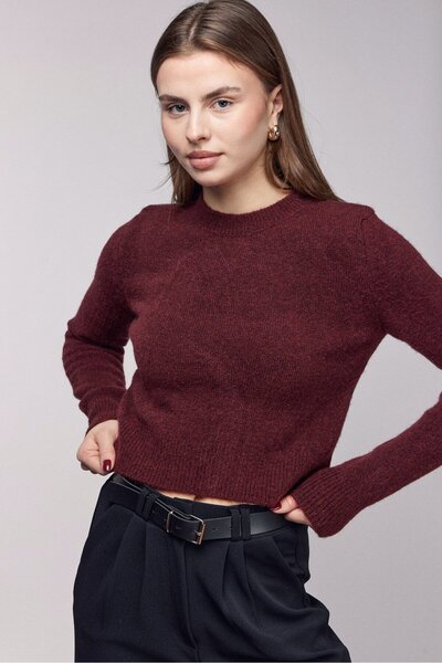 Saade Burgundy Crew Neck Basic Soft Textured Knit Sweater