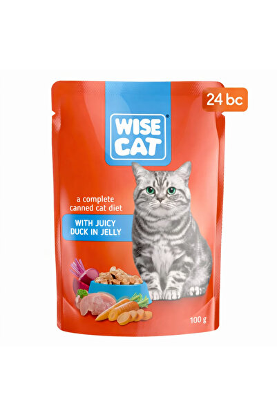 WISECATFOOD Wise cat duck in sauce 100g sachet 24 pieces/box