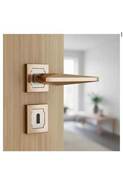 İyem Uzy Luxury Square Rosette Model Albi̇fi̇ri̇n Color Set for 1 Door