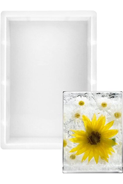 SC GAMA EPOXY SRL Silicone Mold Tray 24.5 × 17 × 5 cm