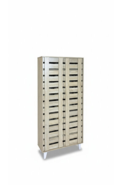 Generic Luxury Vertical 2-Door Shoe Cabinet - Tall Space-Saving Design (80x30...