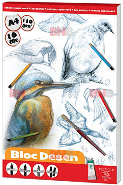 PIGNA Bloc de desen A4, 110 g, 16 coli, diverse modele