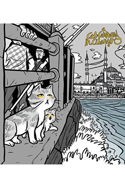 Ege Yayınları A Cat Compound in Cihangir