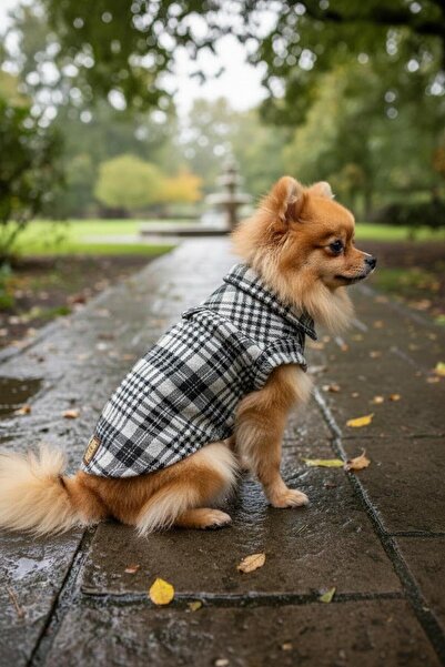 Empati قميص كلب الحطاب مربعات أبيض وأسود مقاس M (مناسب لوزن 3-5 كجم)