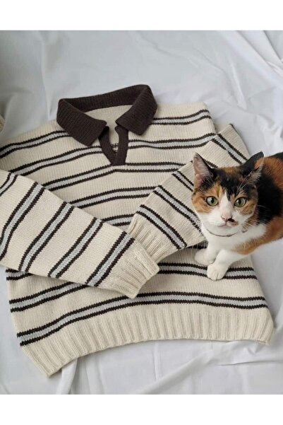 De Pose Brown Collar Cream Baby Blue Striped Lapel Collar Trendy Sweater