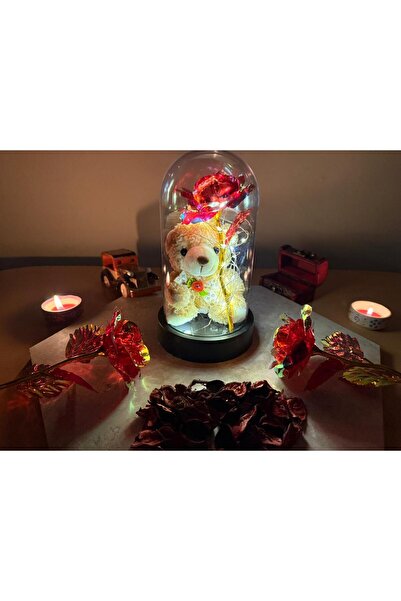 RELİEVO Ayıcıklı Fanus Led Işıklı Kırmızı Sonsuzluk Gülü