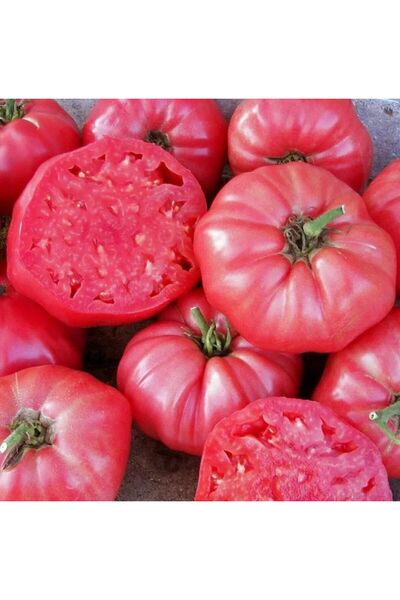 Sümer Tohum 20 Adet Doğal Yerli Yöresel Köy Tipi Domates Tohumu