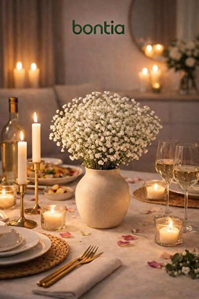 Bontia باقة زهور سيبيسو الكبيرة الحقيقية - زهرة بيضاء طبيعية للزينة، باقة فاخ...