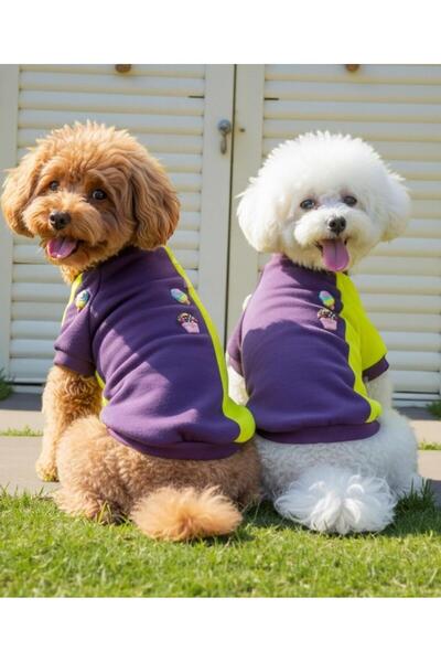 Kemique سترة فولار بطبعة أقدام الكلاب من فئة فور إيس كريم - للكلاب من السلالا...