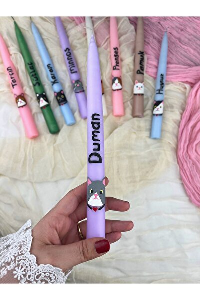 Ca.Gi El Boyaması İsme Özel Kişiselleştirilebilir Gri/Beyaz Kedi Figürlü Tasa...