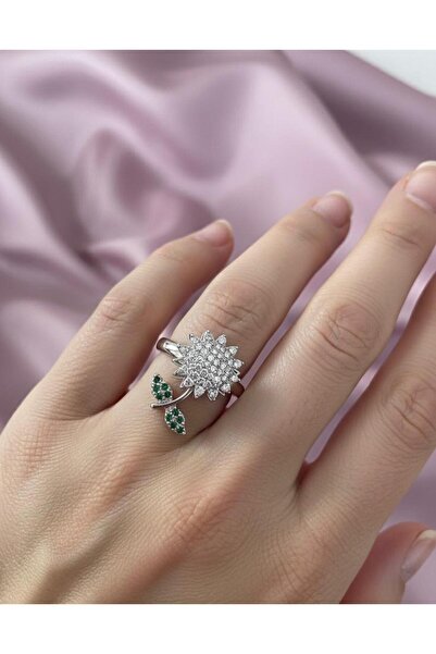 Stilbenim حلقة دوارة قابلة للتعديل من الفولاذ