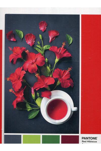 CLEMENTONI , Pantone, Goji Berry, Παζλ, Unisex, 1000 τεμάχια