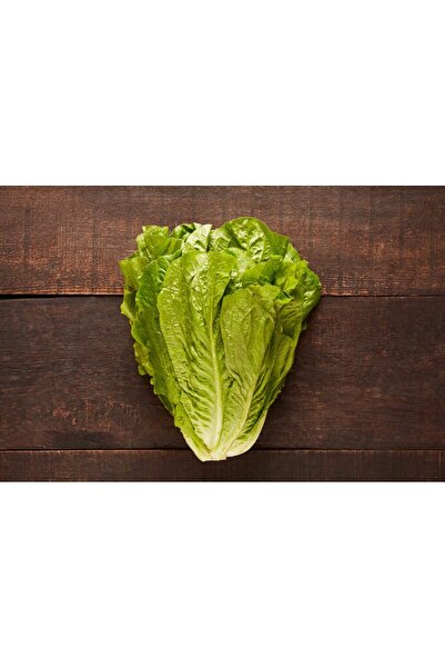 Sümer Tohum 100 Adet Yerli Doğal Yedikule Marul Tohumu