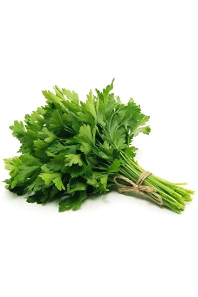 Sümer Tohum 100 Adet Yerli Doğal Maydanoz Tohumu