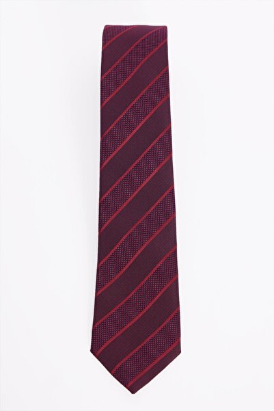 Tudors Patterned Classic Men's Tie with Pocket Handkerchief
