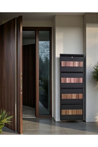 Moemi 4'lü Antrasit Metal Ayakkabılık Ahşap Ceviz Kaplamalı(KİLİTLİ)