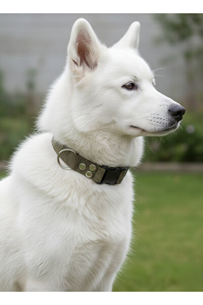 balkonda Dog Collar Adjustable for All Breeds 2.5 cm Wide Colar Cord