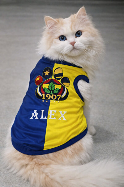 PuluPulu İsim yazılabilen pati baskılı sarı lacivert kedi ve köpek forması