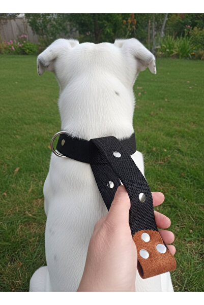 balkonda Dog Collar Adjustable Close-Fastening Model All Breeds Colonic Cord