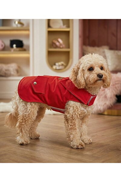 Premium Su Geçirmez Paraşüt Köpek Ve Kedi Yakalı Model Yağmurluk