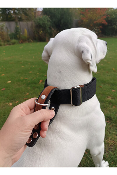 balkonda طوق للكلاب قابل للتعديل مع حبل قابل للتعديل لجميع السلالات