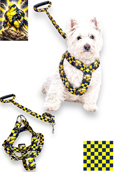 Angelapets Fan Series Dog Chest Harness and Walking Strap Set