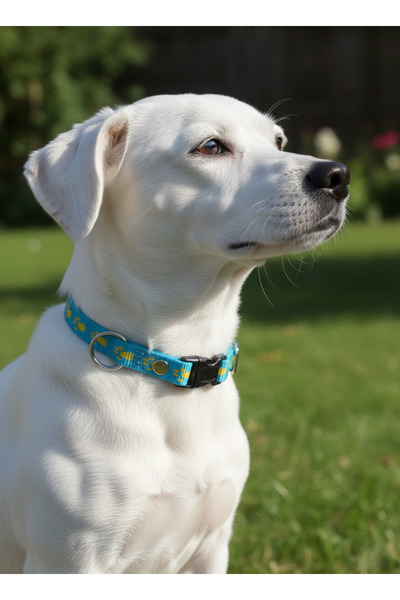 balkonda Dog Collar Adjustable for Small & Medium Breeds 1.5 cm Wide Column C...