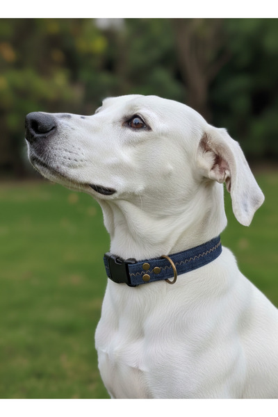 balkonda Dog Collar Adjustable Medium and Large Breed 2.5 cm Width Denim
