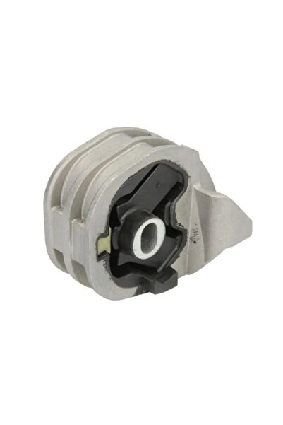 REINHOCH Suport Motor Punte Fata Opel Movano B Caroserie/Movano B Platou / Sa...