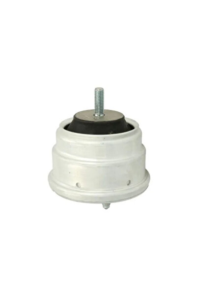 REINHOCH Suport Motor Dreapta Bmw 5 2000-2003