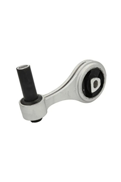 REINHOCH Suport Motor Spate Fiat Doblo Cargo/Doblo Bus/Doblo Platou / Sasiu O...
