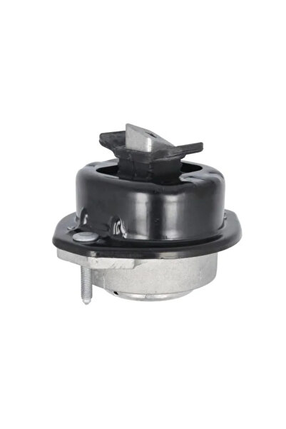 REINHOCH Suport Motor Dreapta Bmw 7